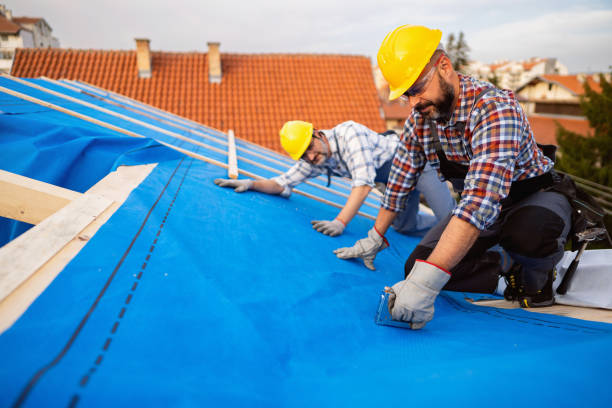 Best Roof Insulation Installation  in South Zanesville, OH