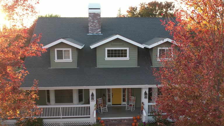Best Roof Maintenance and Cleaning  in South Zanesville, OH