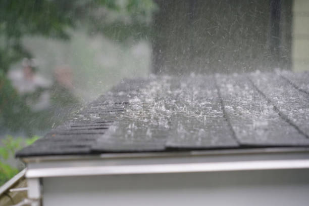 Best Roof Insulation Installation  in South Zanesville, OH